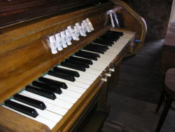 Organ